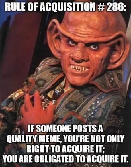 This meme features an image of a character from the Star Trek: Deep Space Nine series, a Klingon named Gowk The text at the top of the image reads: "Rule of Acquisition #286: If someone posts a quality meme, you are obligated to acquire it." The text at the bottom reads: "You are not obligated to acquire it."